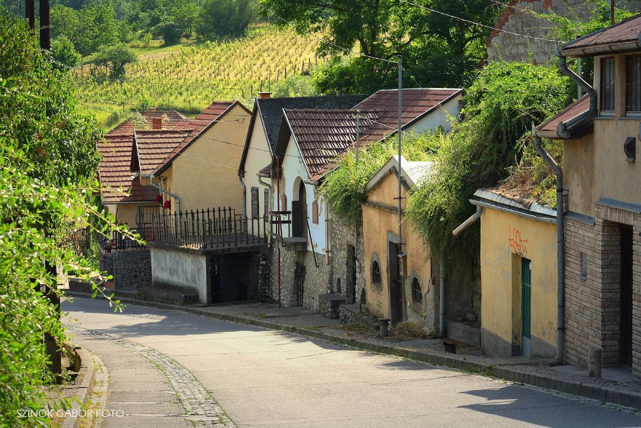 Bed and Breakfast Fenyő Panzió Mezőkövesd Exterior foto